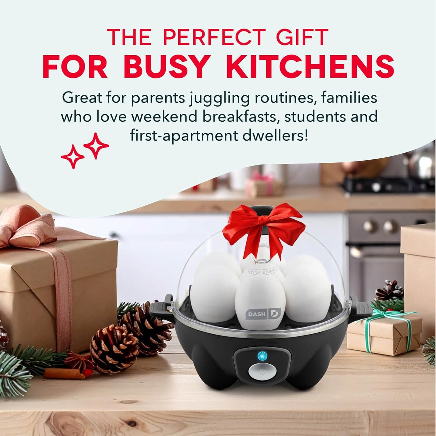 Electric Egg Boiler